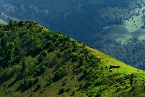 تور‌های طبیعت گردی